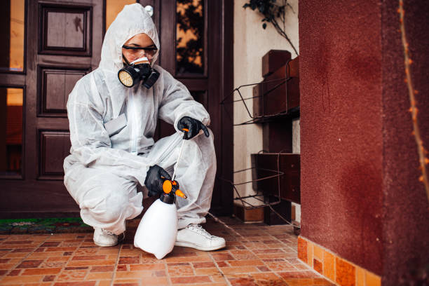 Attic and Crawl Space Rodent Treatment in North Hudson