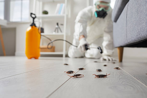 Commercial Rodent Management in North Hudson